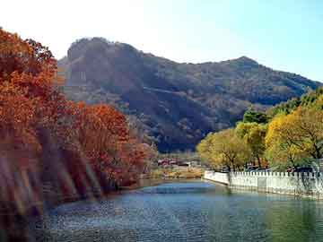 新澳天天开奖资料大全旅游团，历史小说推荐